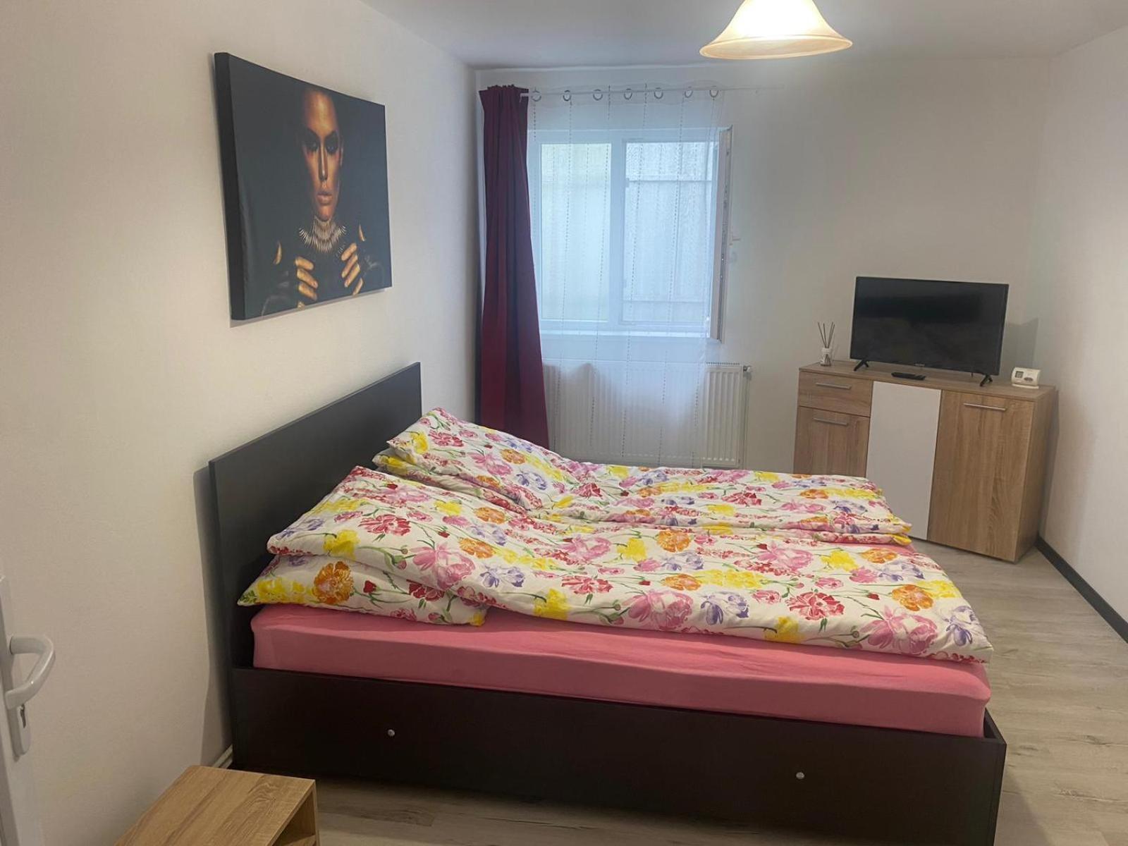 Apartment Flowers Confort Timisoara