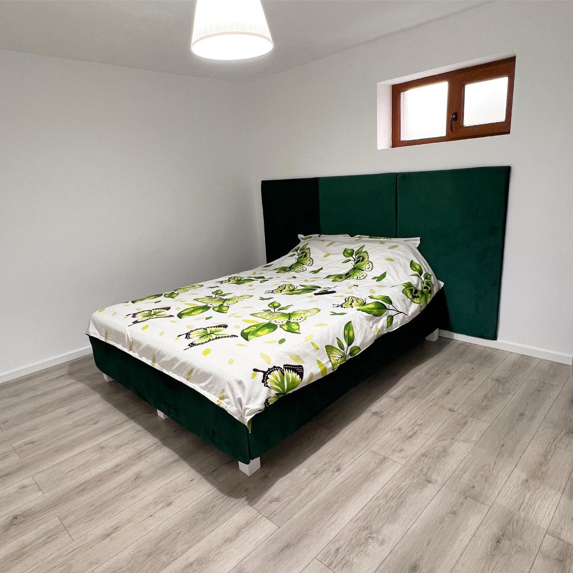Apartment Flowers Confort Timisoara