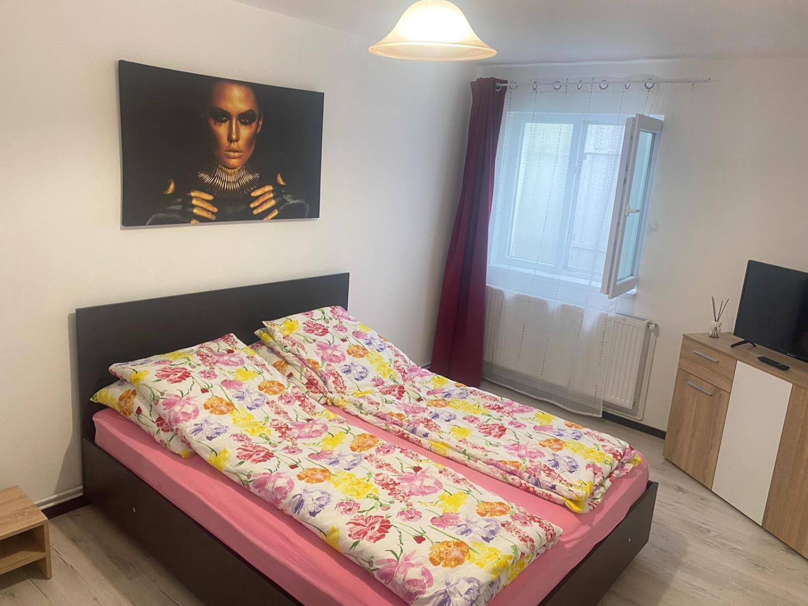 Apartment Flowers Confort Timisoara